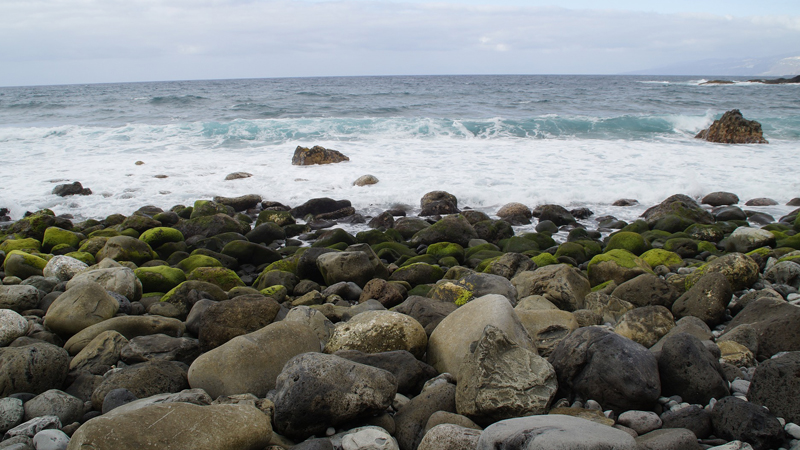 rocky shore