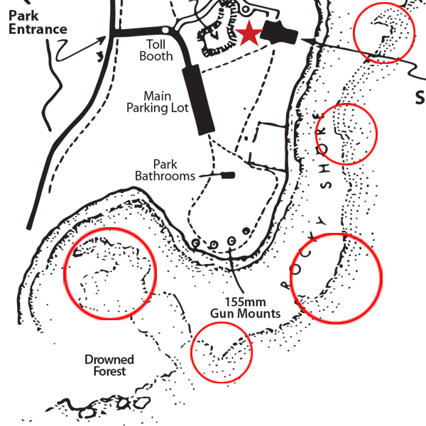 tide pool map