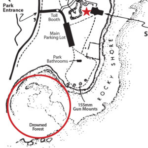 tidepool habitat map